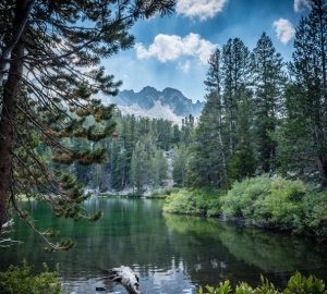 Mammoth Lakes