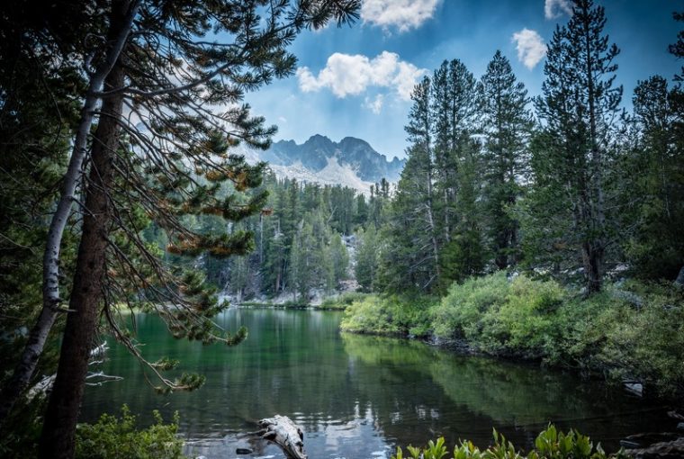 Mammoth Lakes