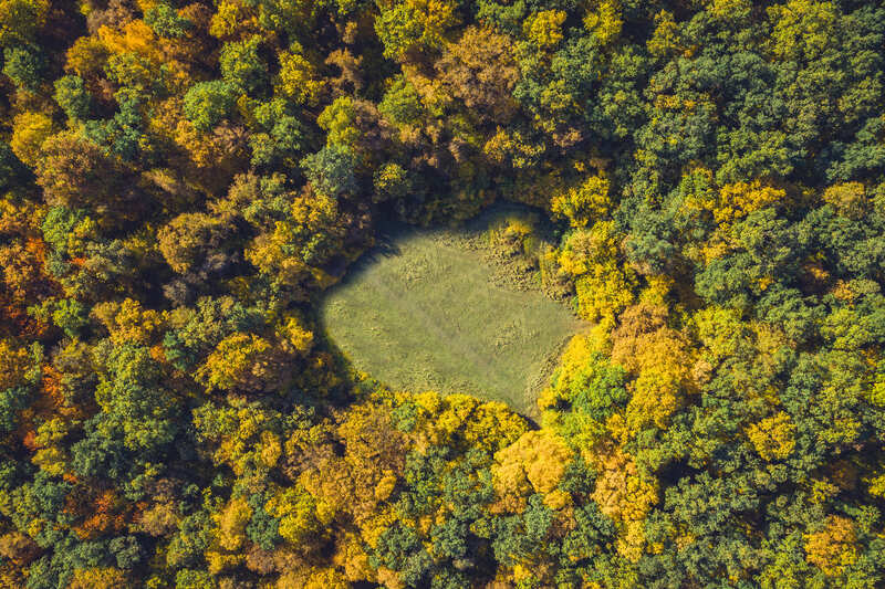 Poiana Rotundă